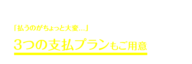 それでも、もしあなたが・・・「たとえ10万円であっても、払うのがちょっと大変...」と思うのであれば、２つのお手頃プランもご用意