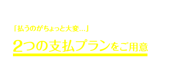 それでも、もしあなたが・・・「たとえ10万円であっても、払うのがちょっと大変...」と思うのであれば、２つのお手頃プランもご用意
