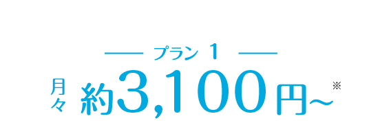 月々約3,000円〜 ※一部のクリニック除く ※手数料抜き