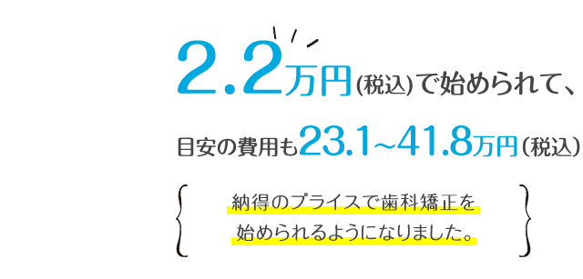 2万円(税込22,000円)で試せて、総額の目安も（税込約11～33万円）。