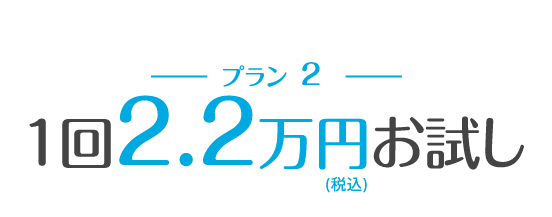 １回２万円(税込22,000円)&nbsp;お試し