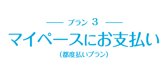 マイペースにお支払い（都度払いプラン）