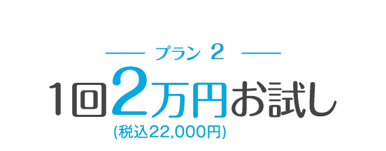 １回２万円(税込22,000円) お試し