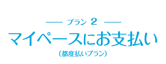 マイペースにお支払い（都度払いプラン）