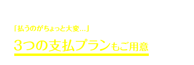 それでも、もしあなたが・・・「たとえ10万円であっても、払うのがちょっと大変...」と思うのであれば、２つのお手頃プランもご用意