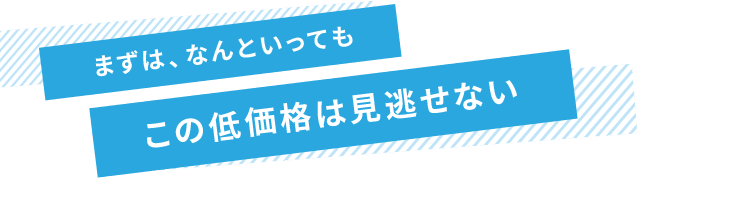 まずは、なんといってもこの低価格は見逃せない