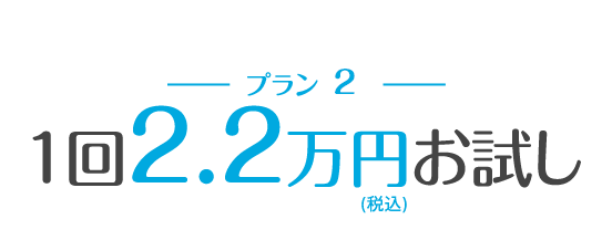 １回２万円(税込22,000円) お試し