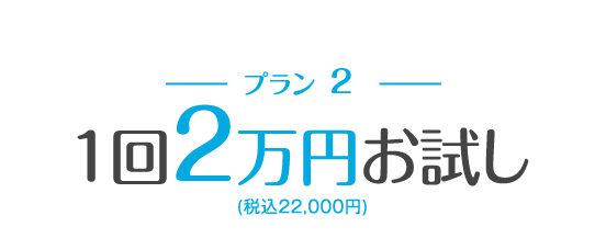 １回２万円(税込22,000円) お試し