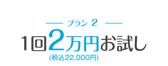 １回２万円(税込22,000円) お試し