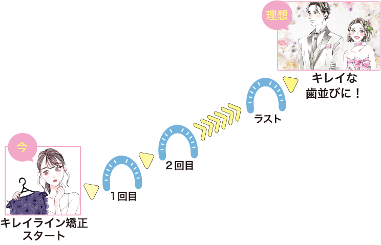 キレイラインのシステム