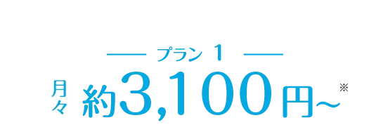 月々約3,000円〜 ※一部のクリニック除く ※手数料抜き