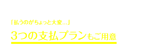 それでも、もしあなたが・・・「たとえ10万円であっても、払うのがちょっと大変...」と思うのであれば、2つのお手頃プランもご用意