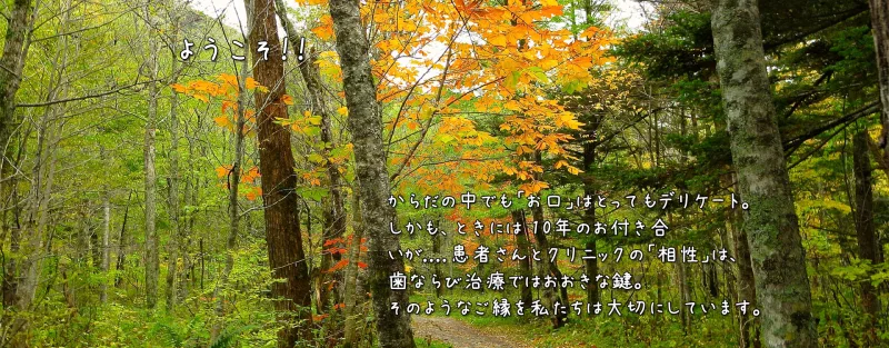 まちの歯ならびクリニックの写真1