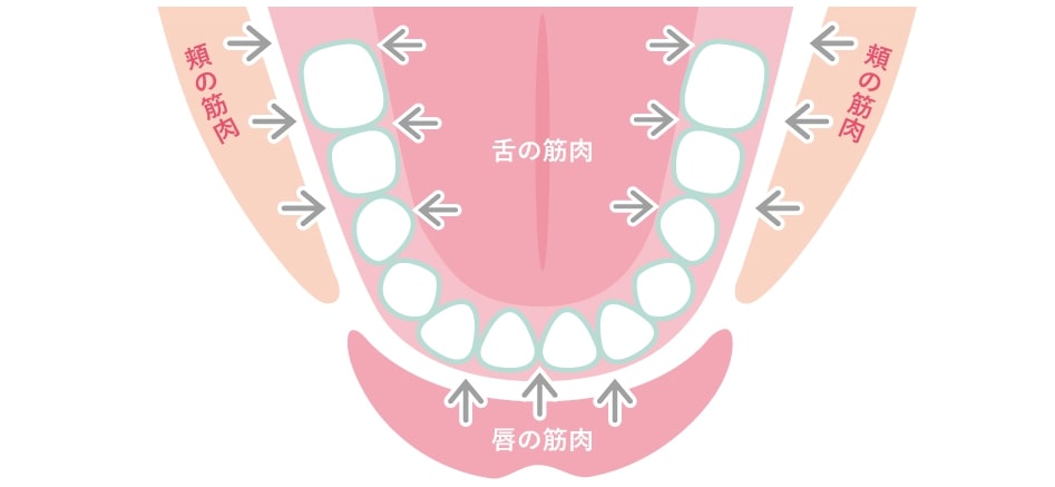 子どもの歯並びに影響するお口の悪い癖って 舌癖の改善や口腔筋のトレーニング方法 キレイライン矯正